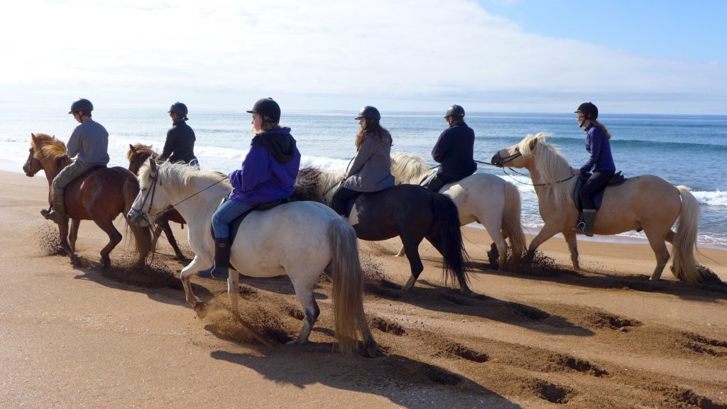 Galloping on the beach.