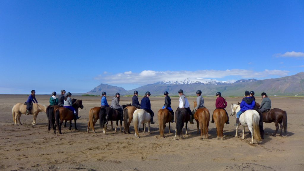 Groupshot horseback riding
