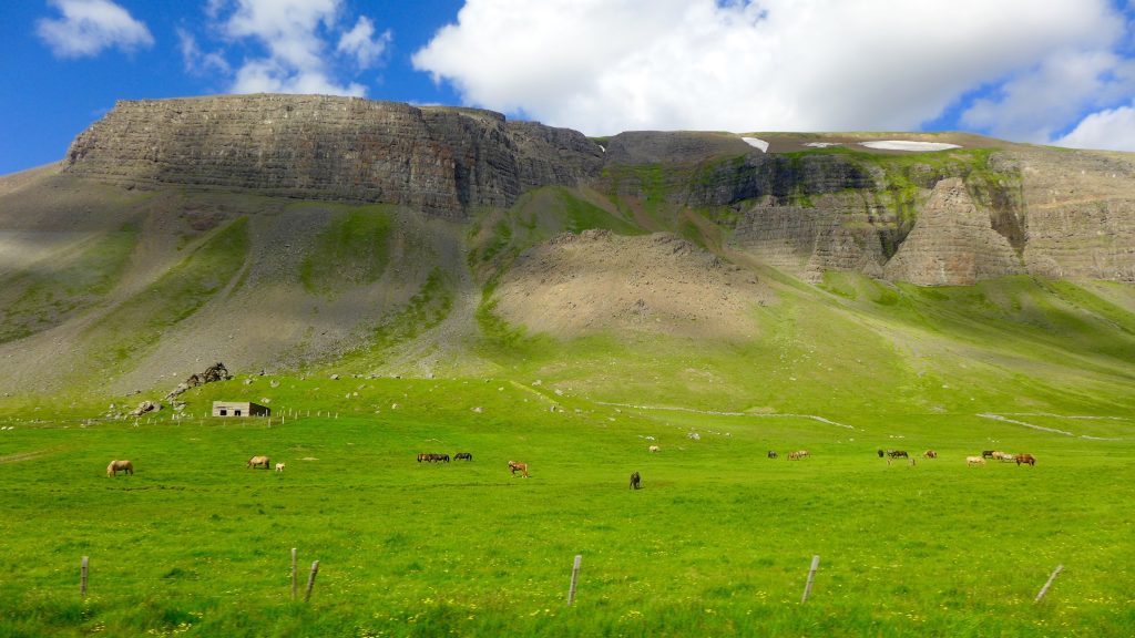A common landscape scene en route to Westfjiords.